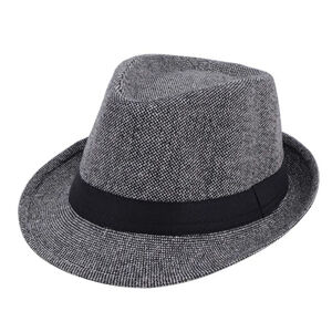 Unisex Casual Fedora Hat In Gray